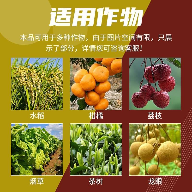 24表芸苔素赤霉酸生长调节剂柑橘荔枝龙眼增产保花保果