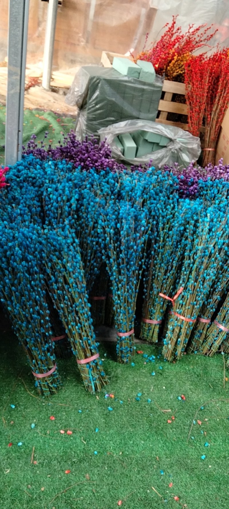 银柳真花鲜枝年宵花红色银柳干花室内水培植物福桶装饰发财果