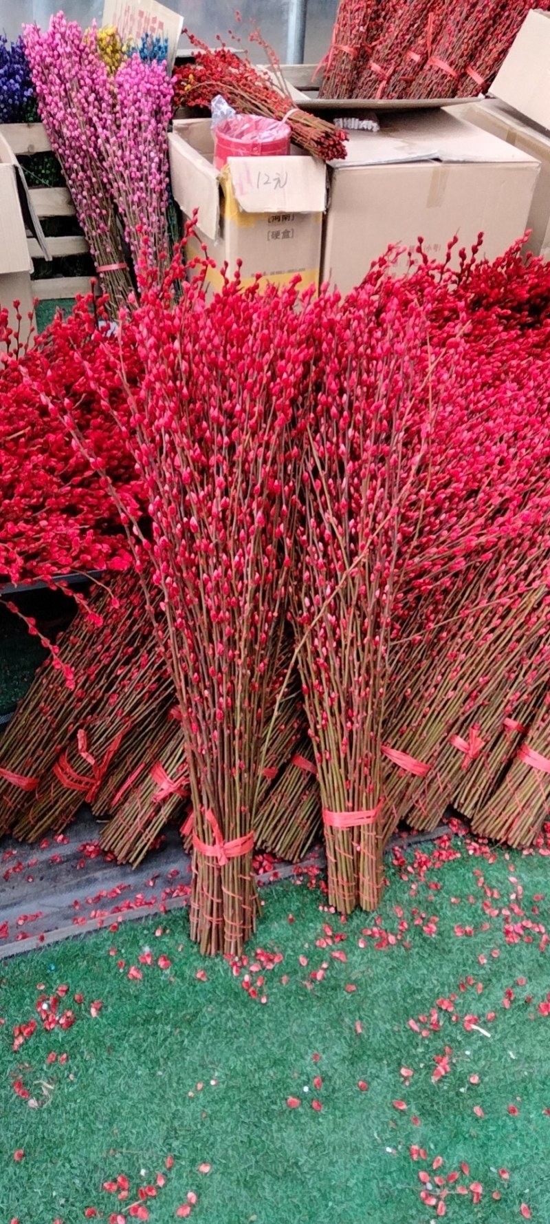 银柳真花鲜枝银柳干花客厅室内装饰花年宵花卉水养植物银柳鲜