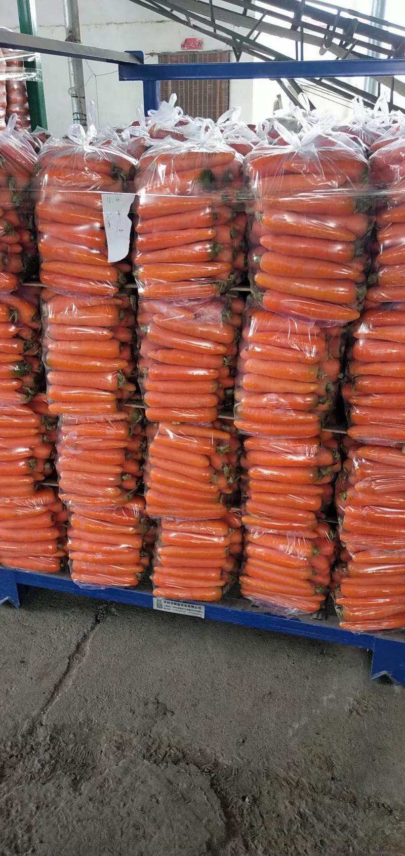 胡萝卜3两以上水洗15厘米以上红