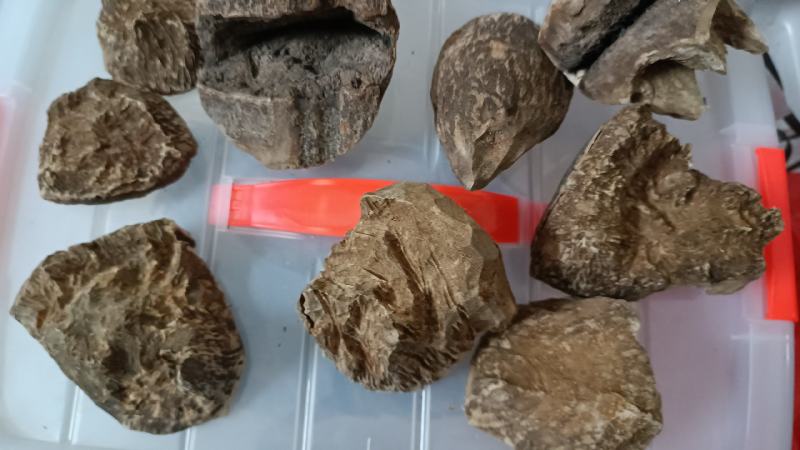 天然沉香锯口，天然黄油格可打珠子手串，小珠