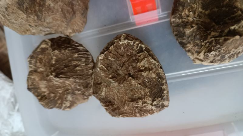 天然沉香锯口，天然黄油格可打珠子手串，小珠