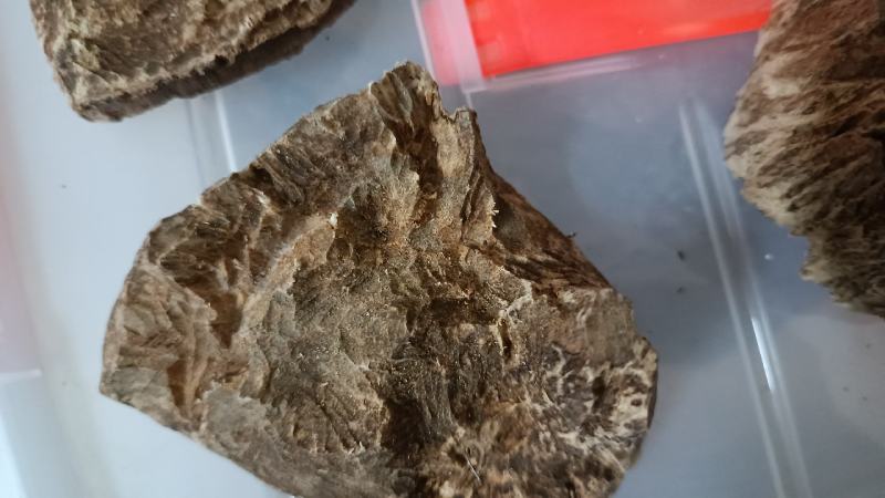 天然沉香锯口，天然黄油格可打珠子手串，小珠