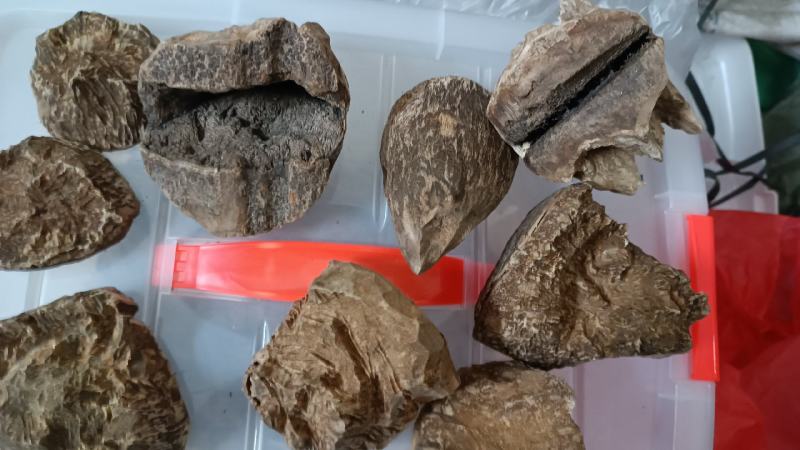 天然沉香锯口，天然黄油格可打珠子手串，小珠