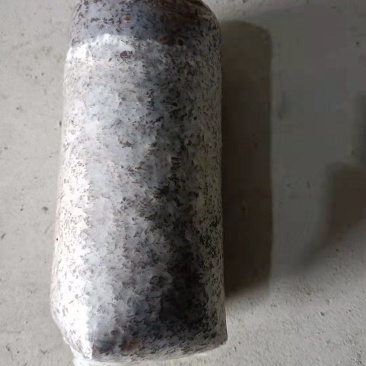 香菇菌种优质高产量香菇菌种包装好品种齐全