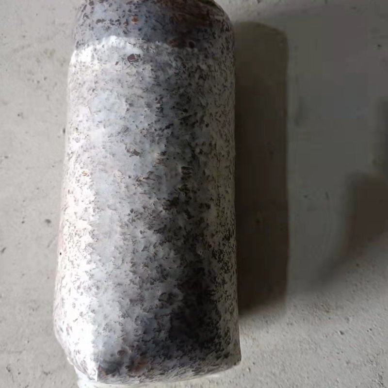 香菇菌种优质高产量香菇菌种包装好品种齐全