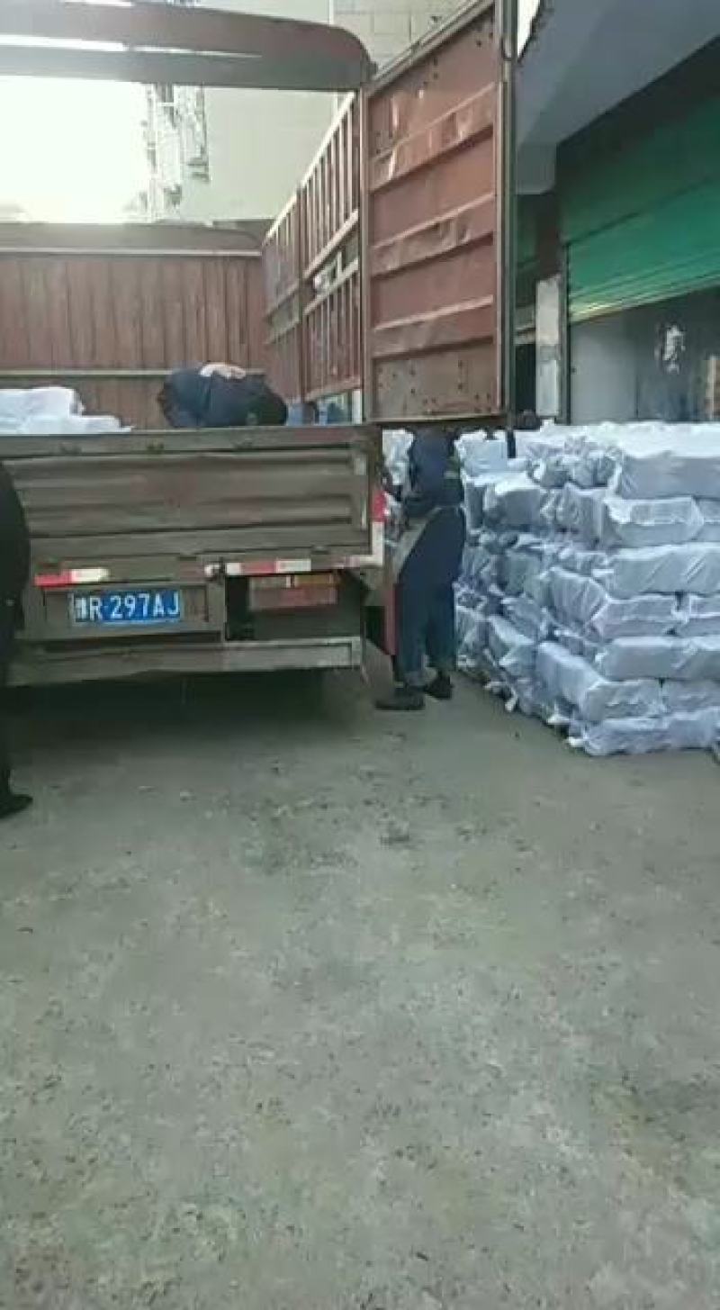 香菇菌种优质高产量香菇菌种包装好品种齐全