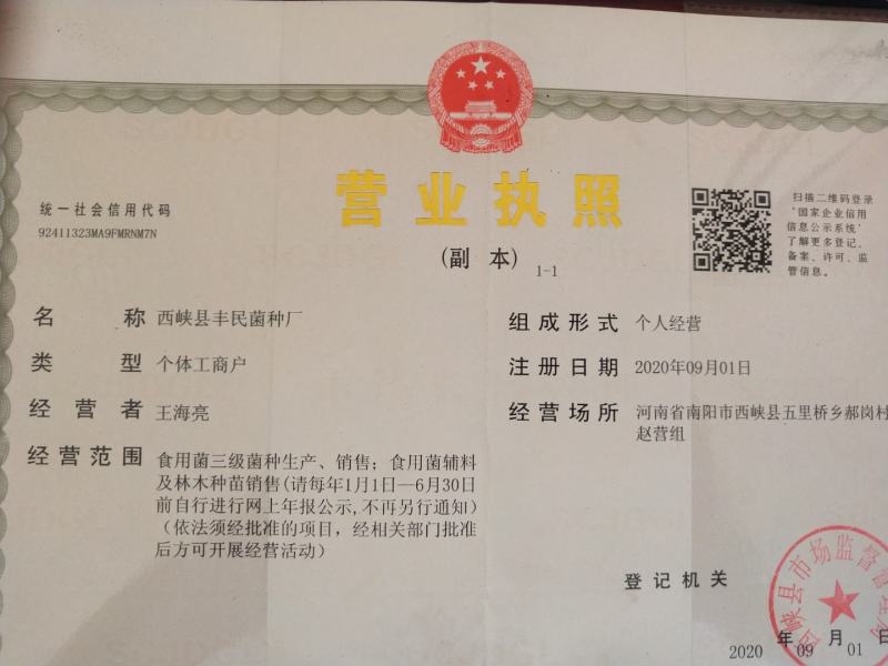 香菇菌种优质高产量香菇菌种包装好品种齐全