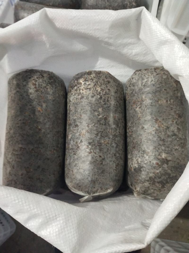 优质高产配料合理的羊肚菌栽培种及外源营养袋，免费技术指导