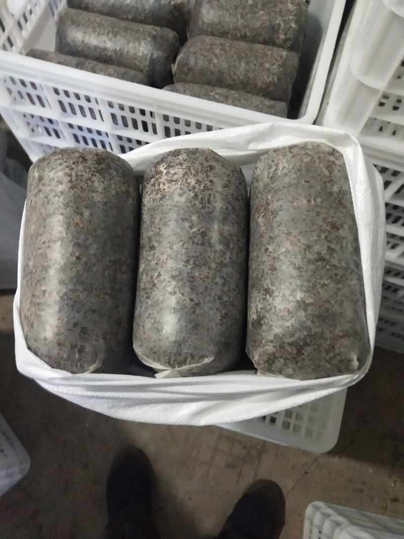 优质高产配料合理的羊肚菌栽培种及外源营养袋，免费技术指导