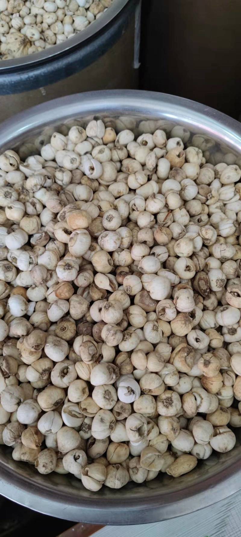 藏贝母伊贝母贝母大全新货免费磨粉各种规格