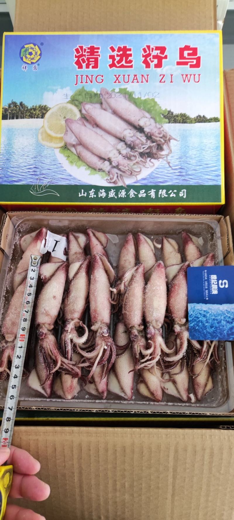 精选籽乌/海兔每件10盒每盒23头左右大厂货质量保证