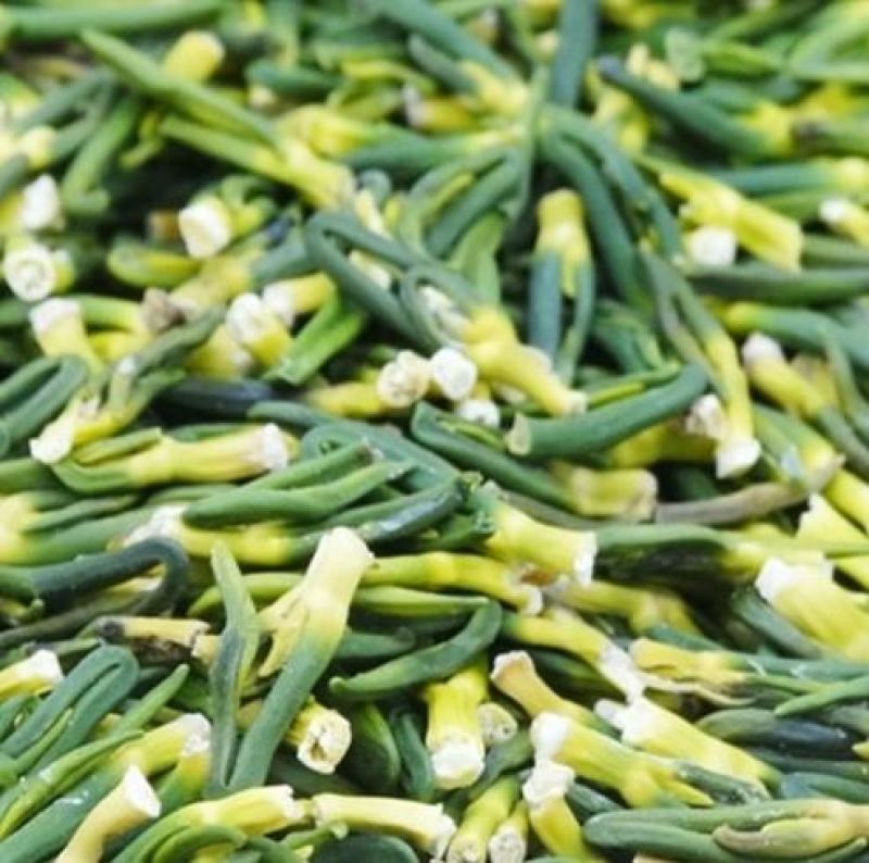微山湖莲子心干货清心泡水莲芯莲子芯莲心非特级去连子芯