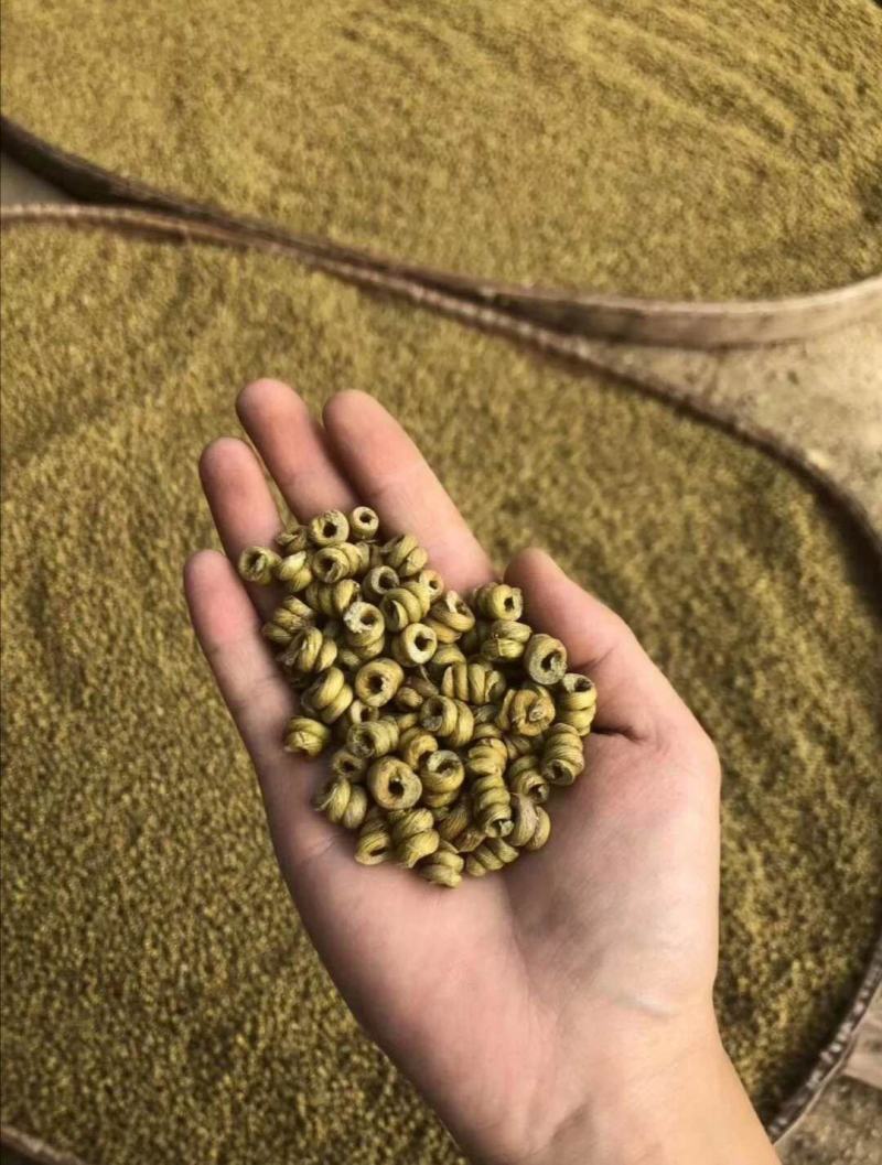 【霍山县发货】5年安徽铁皮石斛枫斗石斛花米斛龙头凤尾包邮