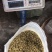 【霍山县发货】5年安徽铁皮石斛枫斗石斛花米斛龙头凤尾包邮