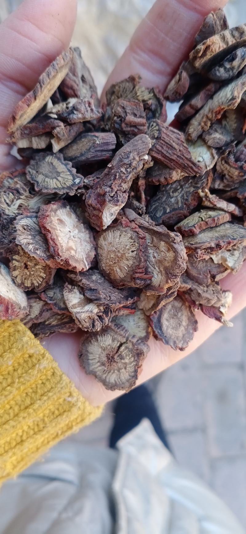 丹参无硫丹参，丹参片，丹参组，丹参尾，丹参超微粉
