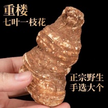 云南特级重楼片七叶一枝花蚤休草河车重楼