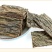 四川老杜仲厚杜仲野生特级杜仲皮杜仲茶杜仲粉四川特产
