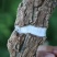 四川老杜仲厚杜仲野生特级杜仲皮杜仲茶杜仲粉四川特产