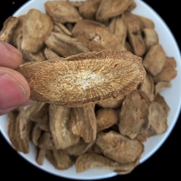 （新年大促）山东特级牛蒡黄金牛蒡茶七天无理由退换货牛蒡茶