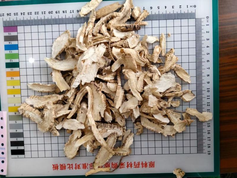 山海螺山海罗四叶参羊乳根保证正品不满意可退换货