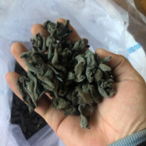 东北上好黑木耳