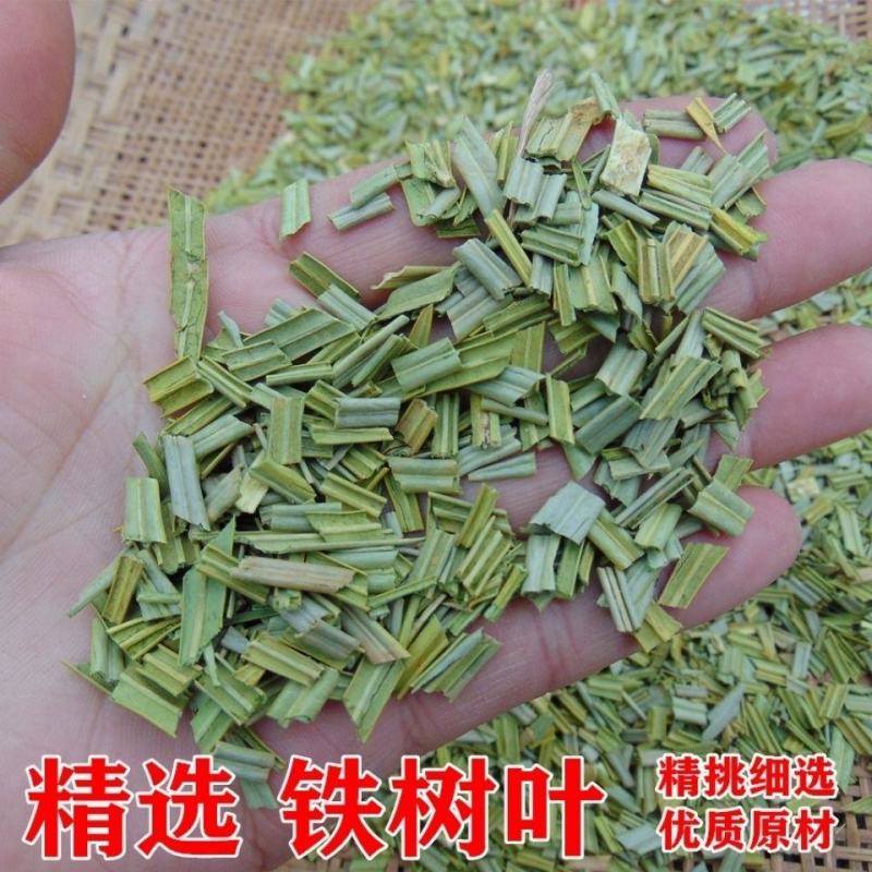 中药材铁树叶铁树花无硫干货不满意可退换货