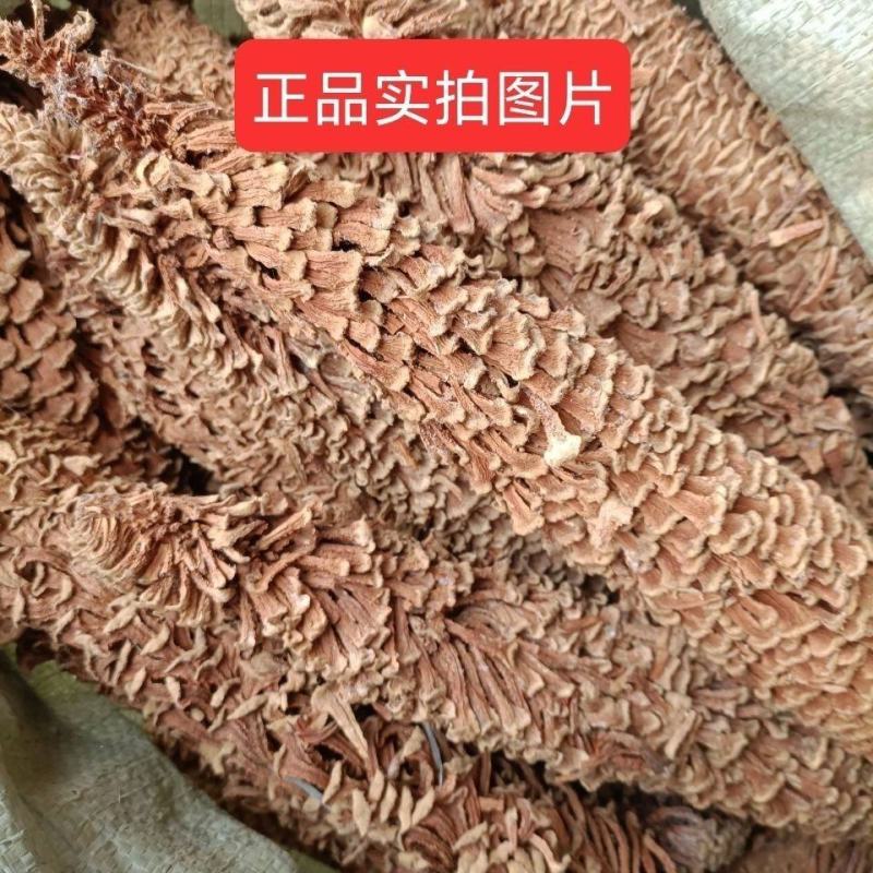 中药材铁树叶铁树花无硫干货不满意可退换货