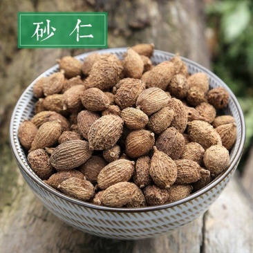 精选香料砂仁，药食两用砂仁砂仁中药香料调味品