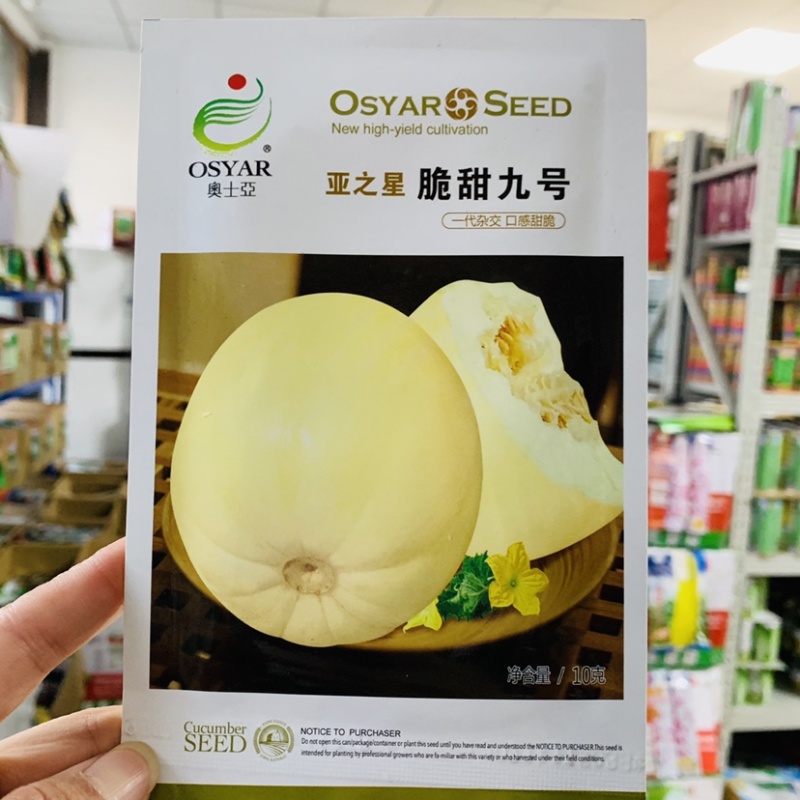 脆甜九号甜瓜种子一代杂交早熟薄皮甜瓜品种高抗病毒
