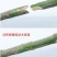 果树嫁接器、可有效搞高果树嫁接工作效率、提高嫁接成活率、