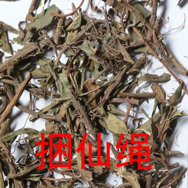糯米藤捆仙绳别名雪山林转筋草上天梯