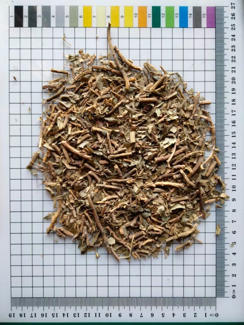 糯米藤捆仙绳别名雪山林转筋草上天梯