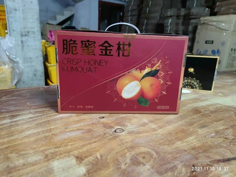 滑皮金桔一件代发中甜脆可口，欢迎全国各地客商选购