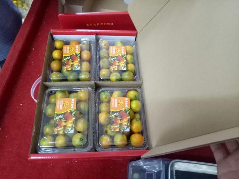 滑皮金桔一件代发中甜脆可口，欢迎全国各地客商选购