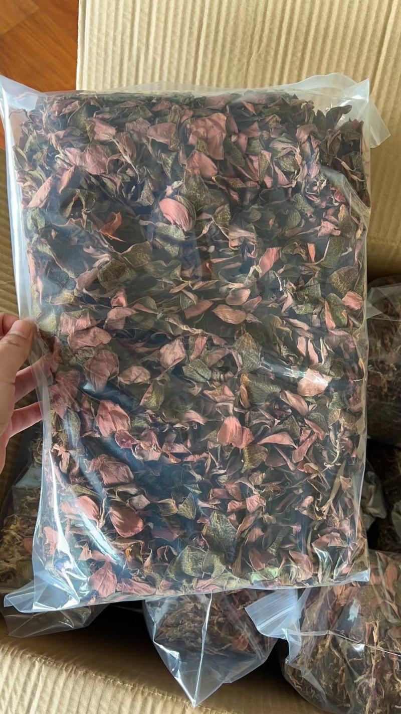台湾红霞整株干品无碎货