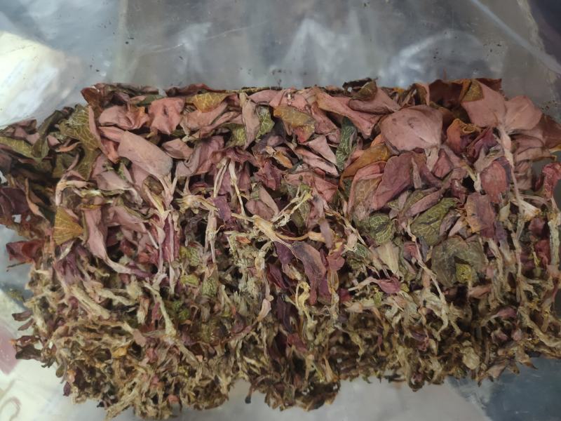 台湾红霞整株干品无碎货