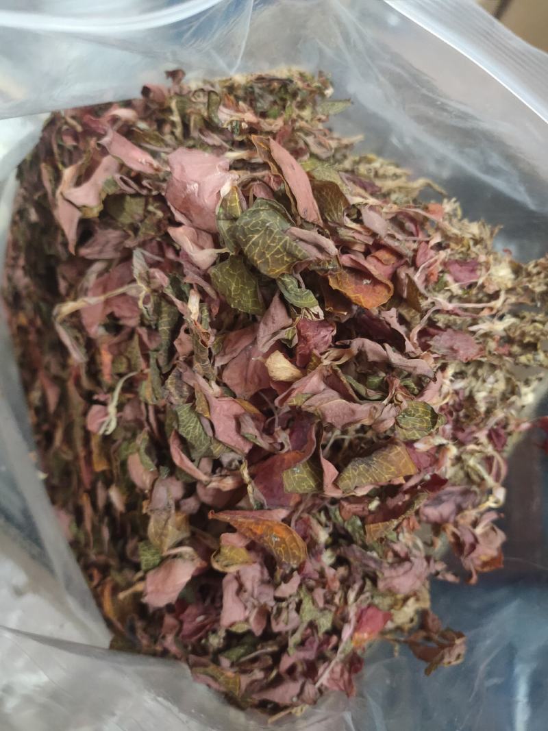 台湾红霞整株干品无碎货