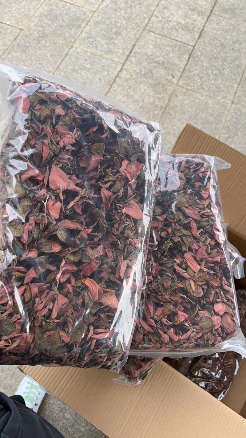 台湾红霞整株干品无碎货