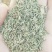 孜然孜然粉