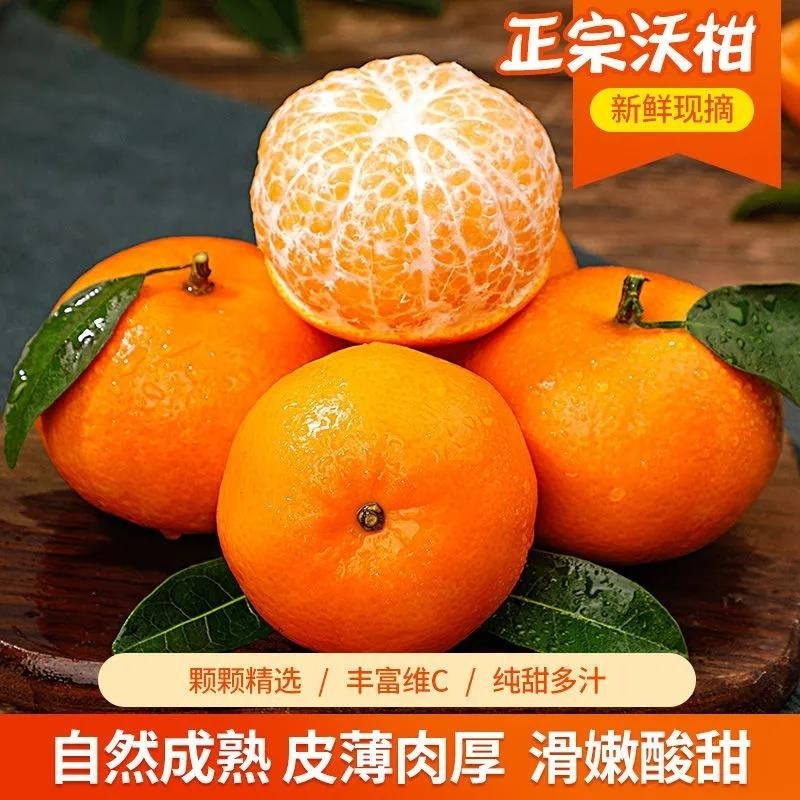 《广西》农家果园沃柑，汁水多，肉厚，超甜，皮薄，