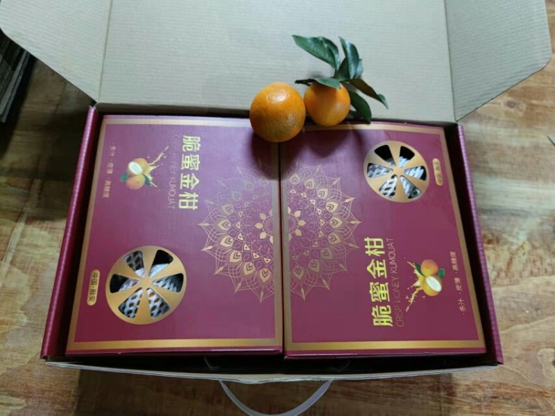 滑皮金桔上市中，清甜可口，欢迎全国客商选购