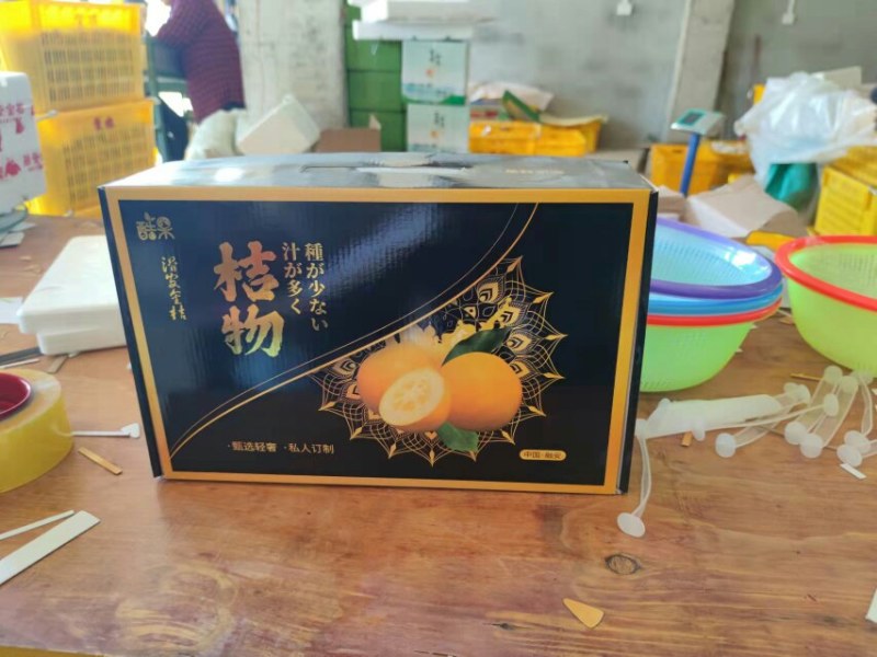 滑皮金桔上市中，清甜可口，欢迎全国客商选购
