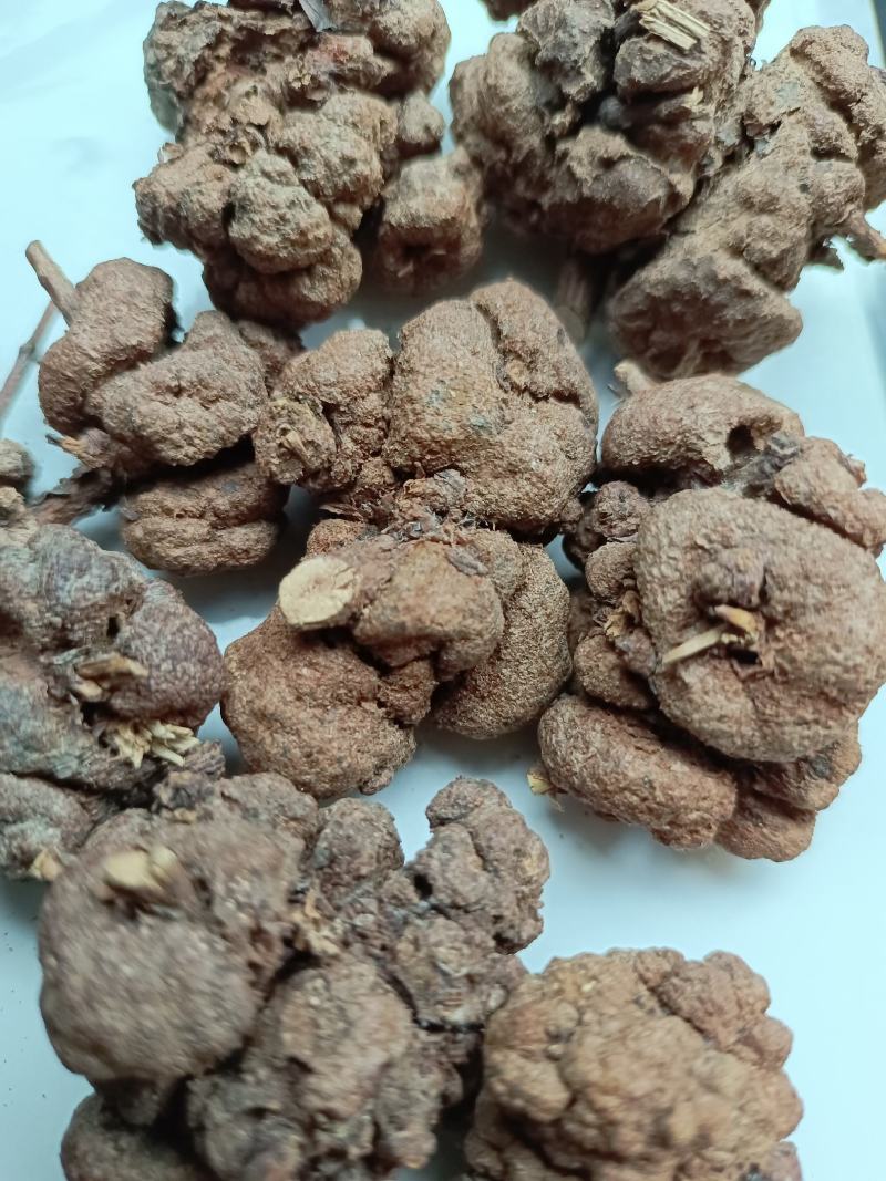 云南省过路黄果中草药材金丝桃果土连翘寄生刘寄奴
