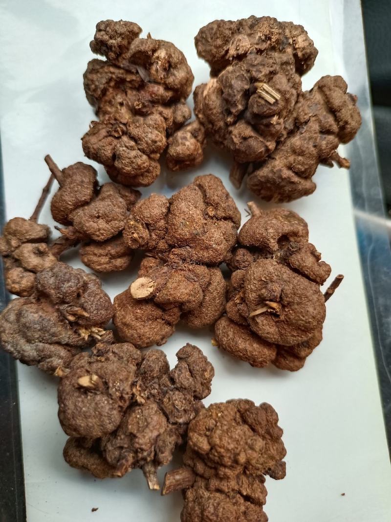 云南省过路黄果中草药材金丝桃果土连翘寄生刘寄奴