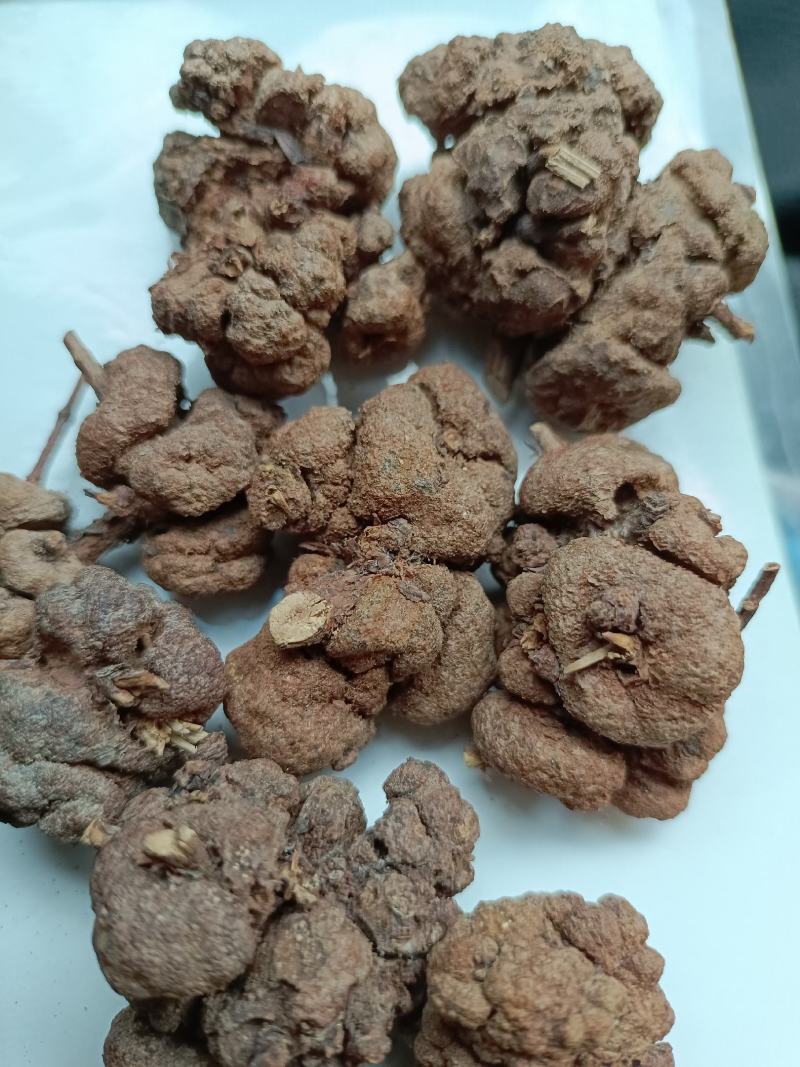云南省过路黄果中草药材金丝桃果土连翘寄生刘寄奴