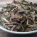 肿节风草珊瑚九节茶九节风接骨莲无硫干货