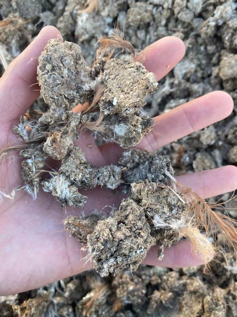 鸽子粪喂鱼种地有质有机肥畜禽粪便纯干鸽粪果树蔬菜农家粪肥