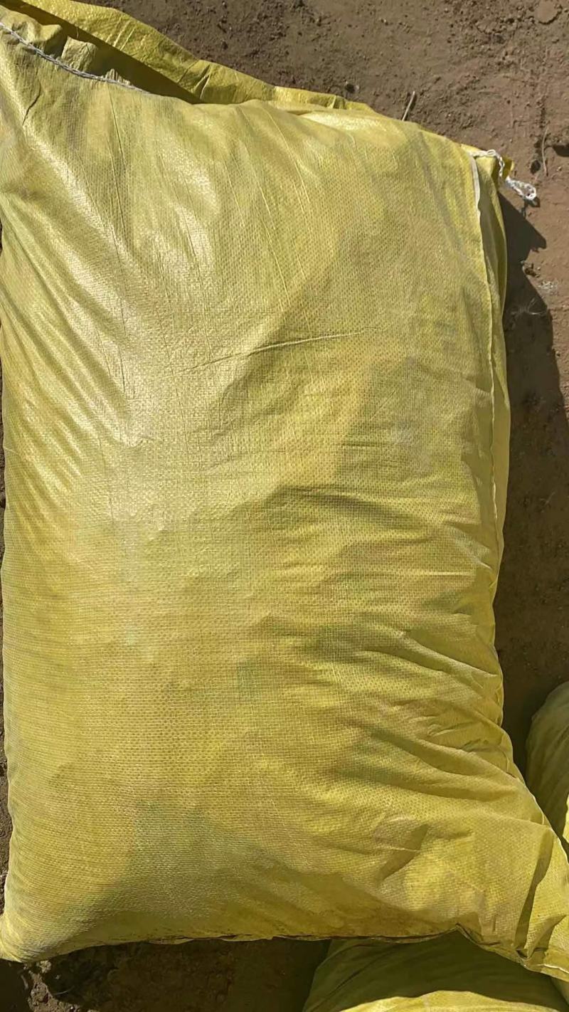 鸽子粪喂鱼种地有质有机肥畜禽粪便纯干鸽粪果树蔬菜农家粪肥