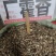 中药材广霍香霍香新货无硫支持平台交易